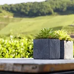 Weingut & Gaestehaus Christoph Cluesserath Bed & Breakfast