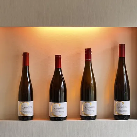 Weingut & Gaestehaus Christoph Cluesserath Bed & Breakfast Trittenheim