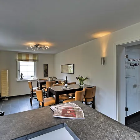 Weingut & Gaestehaus Christoph Cluesserath Bed & Breakfast Trittenheim