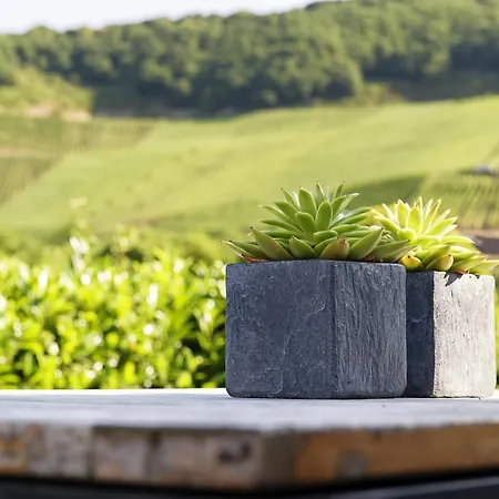 Weingut & Gaestehaus Christoph Cluesserath Bed & Breakfast