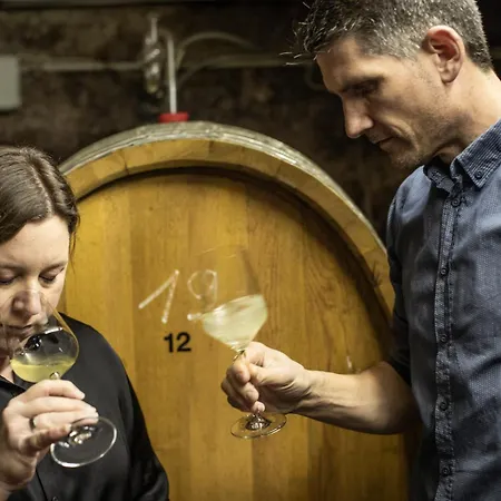 Gästehaus mit Weitblick im Weingut Christoph Clüsserath&Bernhard Eifel Trittenheim