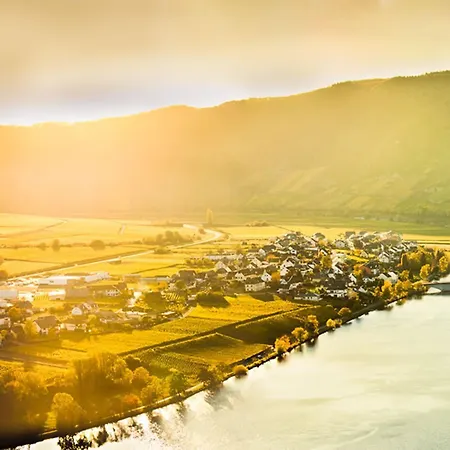 Gaestehaus Weitblick By Weingueter Christoph Cluesserath Und Bernhard Eifel 4* トリッテンハイム