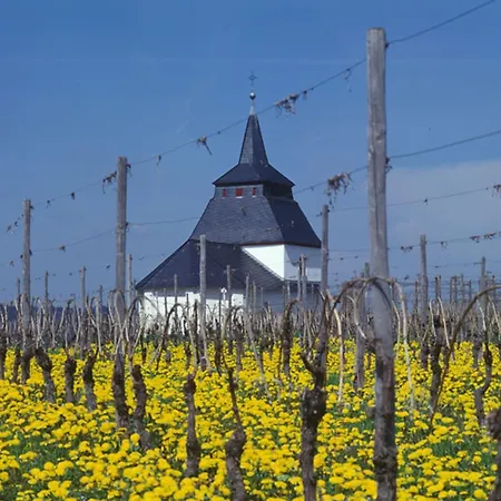 Gaestehaus Weitblick By Weingueter Christoph Cluesserath Und Bernhard Eifel 4* トリッテンハイム