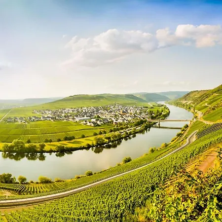 Weingut & Gaestehaus Christoph Cluesserath Bed & Breakfast