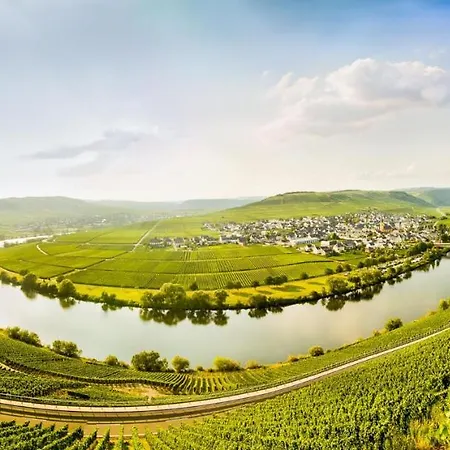 Weingut & Gaestehaus Christoph Cluesserath 4* Trittenheim