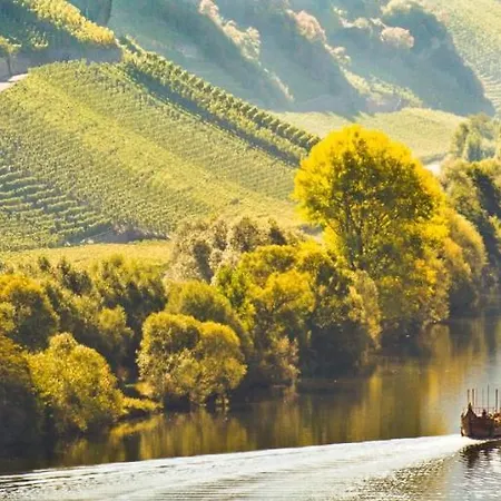 Bed & Breakfast Weingut & Gaestehaus Christoph Cluesserath 4*