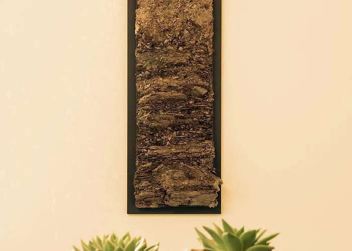 Weingut & Gaestehaus Christoph Cluesserath 4* Trittenheim