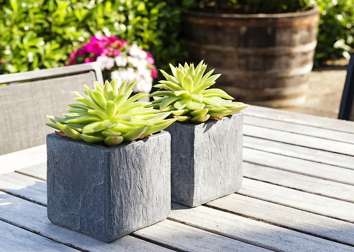 Bed & Breakfast Weingut & Gaestehaus Christoph Cluesserath