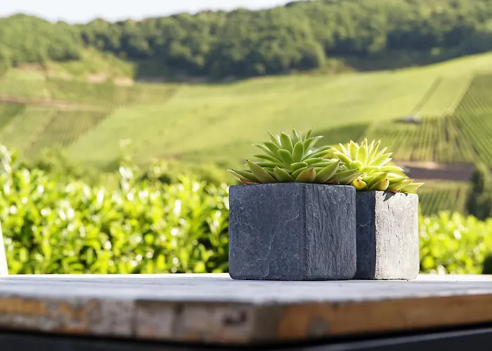 威尼特&格斯霍斯克瑞斯特卡鲁赛瑞塔旅馆 住宿加早餐酒店