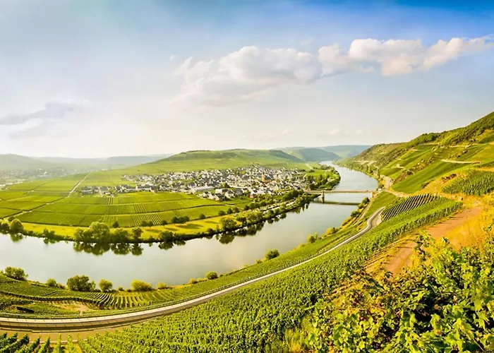 Weingut & Gaestehaus Christoph Cluesserath Bed & Breakfast