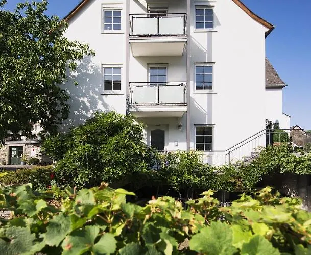 Weingut & Gaestehaus Christoph Cluesserath Bed & Breakfast