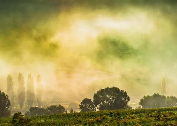 Weingut & Gaestehaus Christoph Cluesserath Bed & Breakfast Trittenheim