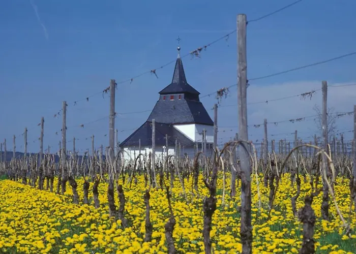 Weingut & Gaestehaus Christoph Cluesserath Bed & Breakfast Trittenheim